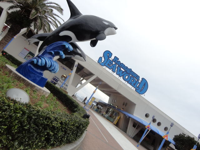 鴨川シーワールド 海獣ショー 水族館に行ってまいります 鴨川シーワールド 海獣ショー 水族館に行ってまいります