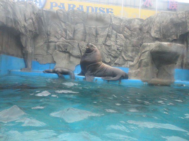 二見シーパラダイス 三重県 の感想 水族館に行ってまいります