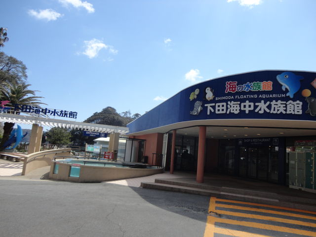 下田海中水族館 静岡県 の感想 水族館に行ってまいります
