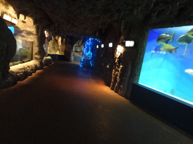 二見シーパラダイス 三重県 の感想 水族館に行ってまいります