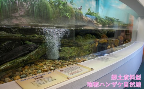 mizuho