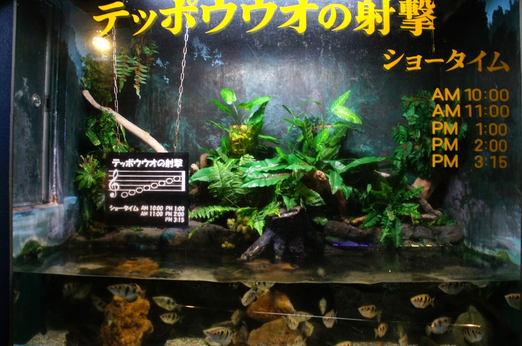 寺泊水族博物館 新潟県 の感想 水族館に行ってまいります 寺泊水族博物館 新潟県 の感想 水族館に行ってまいります