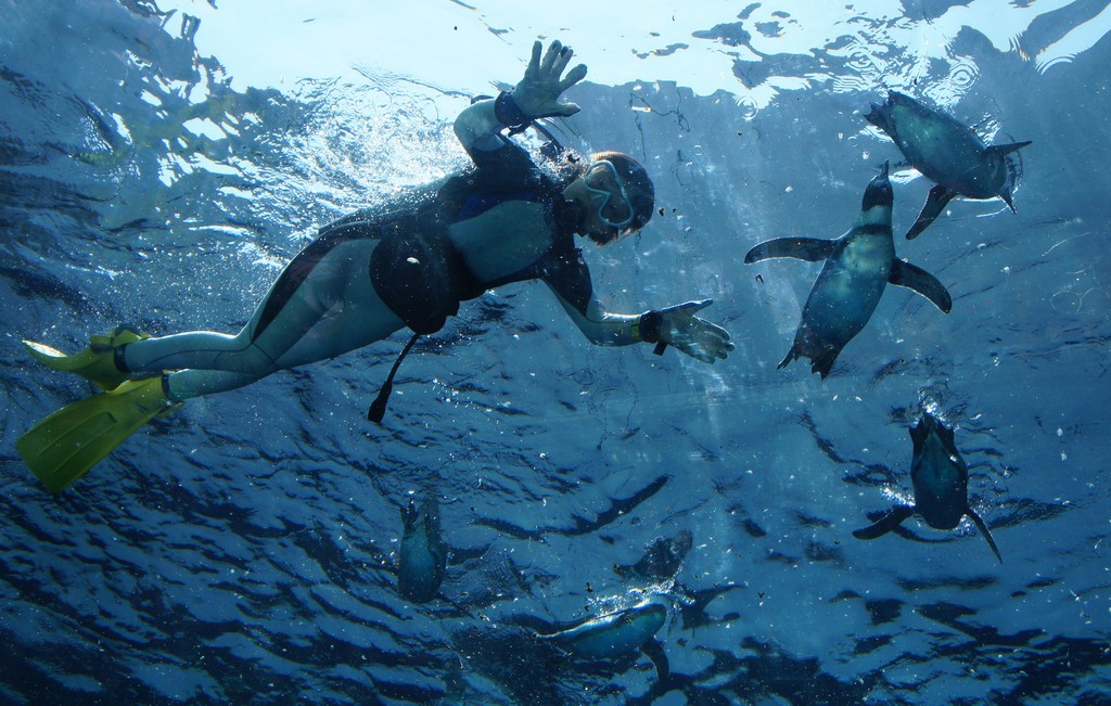 島根県と広島県のパワースポットめぐりをしてきました 水族館に行ってまいります