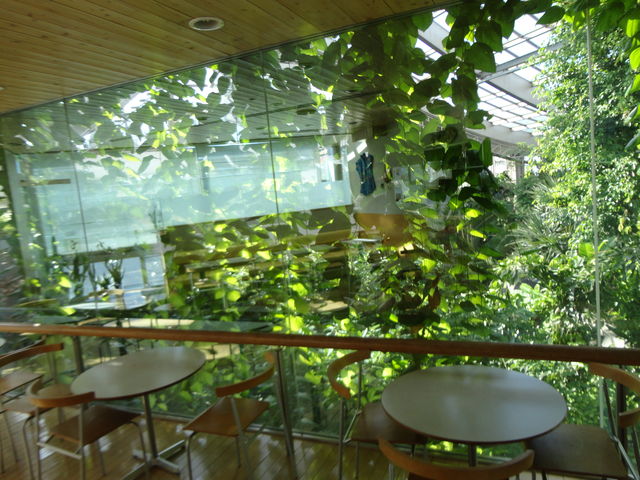 板橋区立 熱帯環境植物園 グリーンドームねったいかん 水族館に行ってまいります