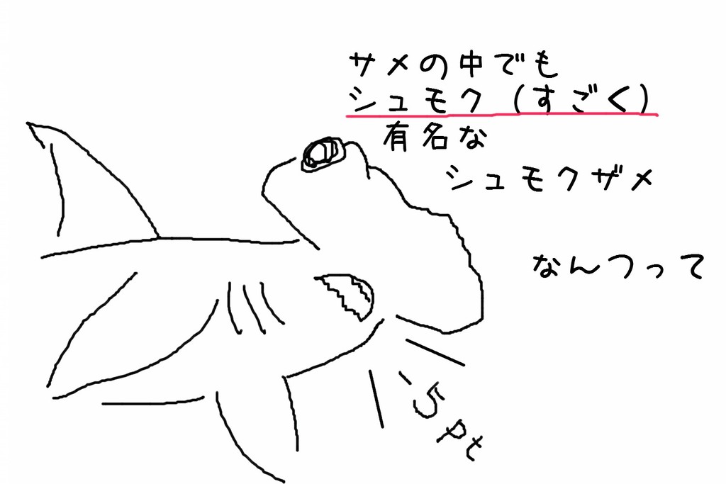 水族館巡りあるある その1 水族館に行ってまいります 水族館巡りあるある その1 水族館に行ってまいります