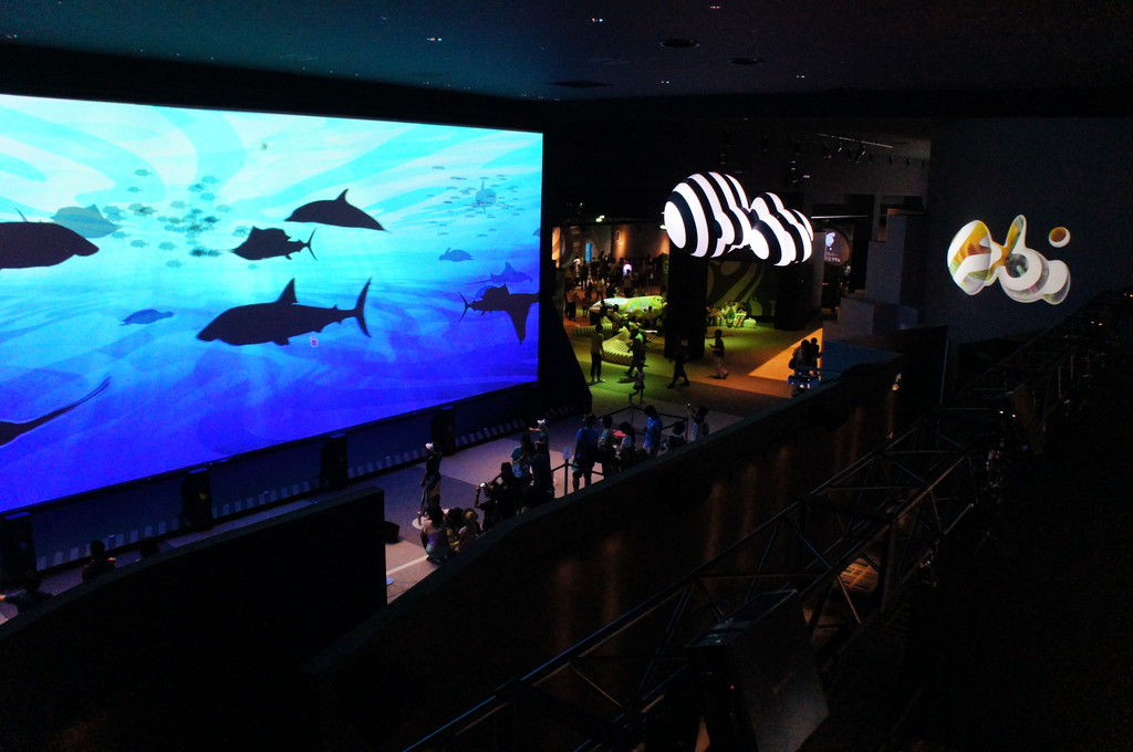 大自然超体感ミュージアム Orbi Yokohama の感想 水族館に行ってまいります