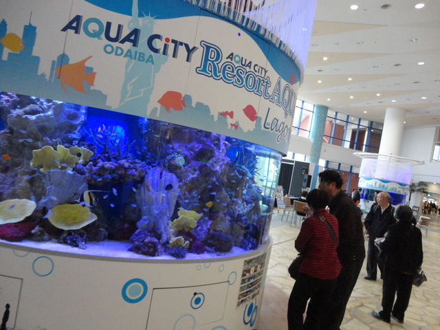 Aqua City Resort Aquarium 水族館に行ってまいります