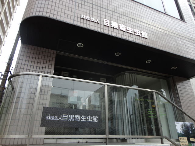 目黒寄生虫館 水族館に行ってまいります