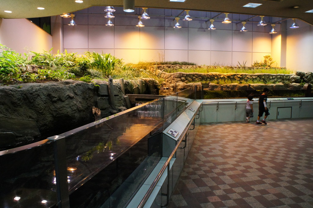 東山動植物園 世界のメダカ館 愛知県 の感想 水族館に行ってまいります