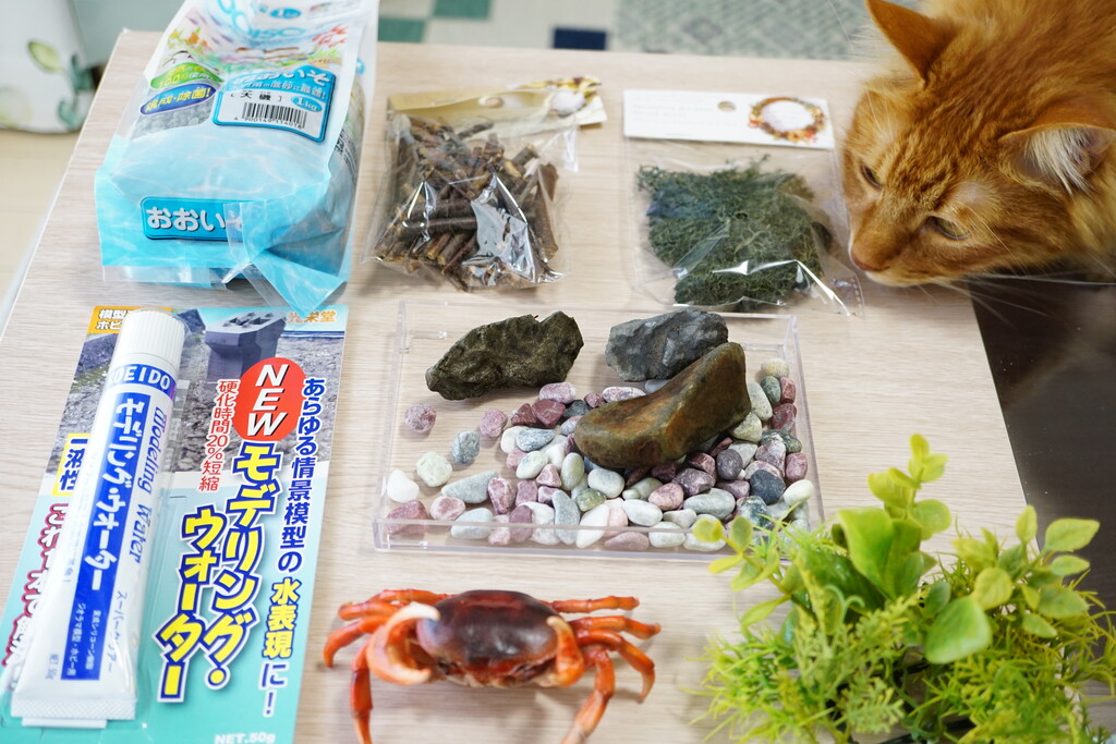 水族館マニアが勘だけでサワガニの棲む川のジオラマを作る。 : 水族館
