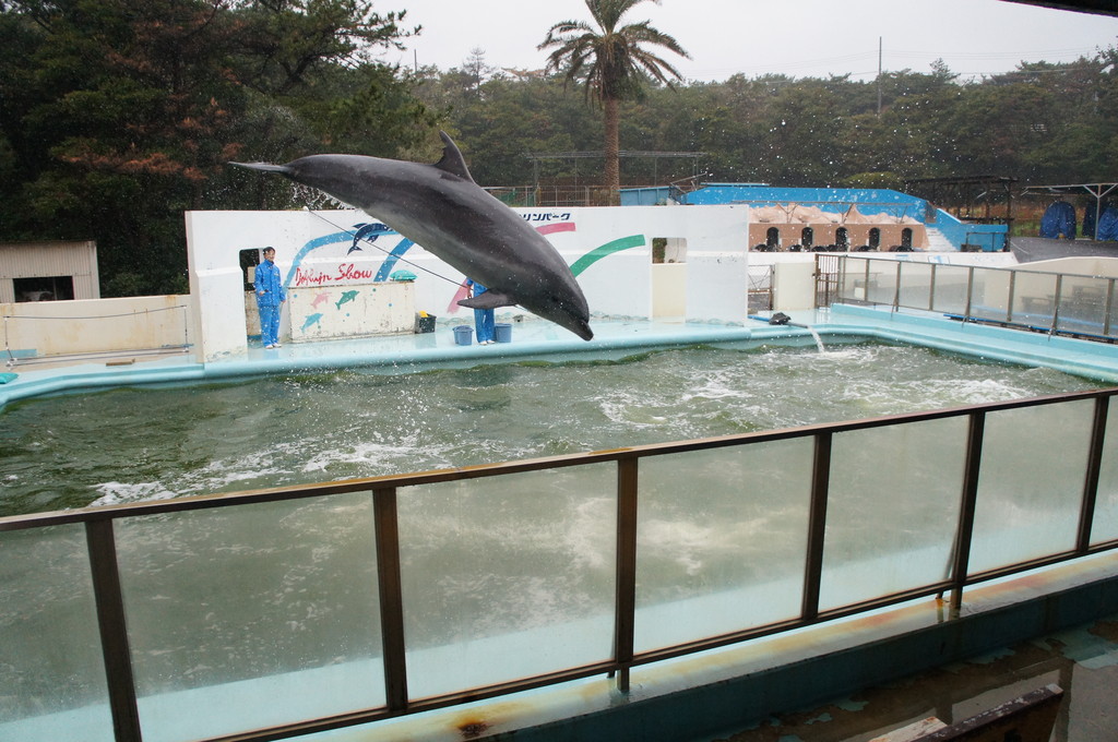 犬吠埼マリンパーク 千葉県 の感想 水族館に行ってまいります