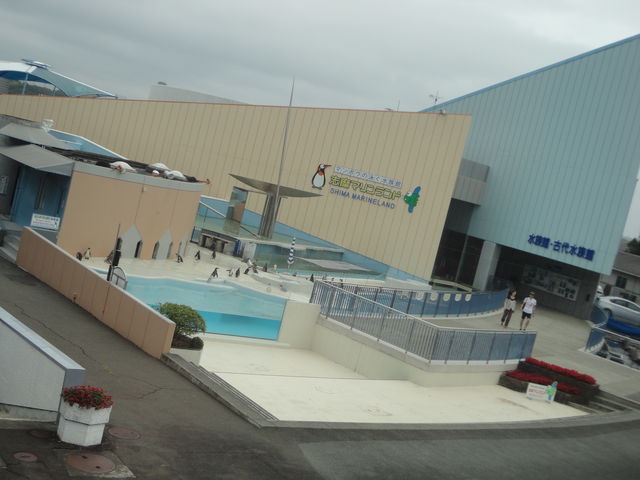 志摩マリンランド 三重県 の感想 水族館に行ってまいります