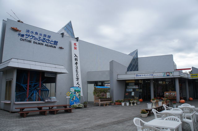 千歳サケのふるさと館 北海道 の感想 水族館に行ってまいります 千歳サケのふるさと館 北海道 の感想 水族館に行ってまいります