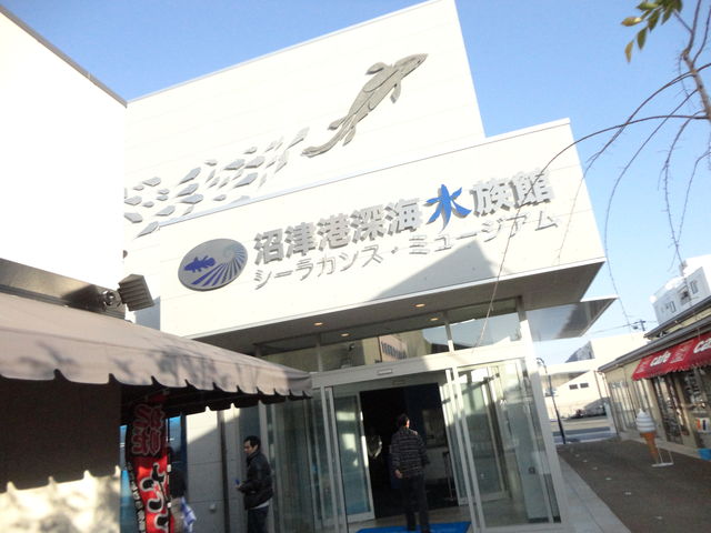沼津港深海水族館 シーラカンス ミュージアム 静岡県 の感想 水族館に行ってまいります