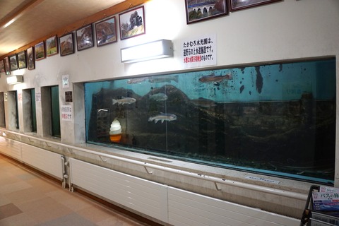 DSC09202
