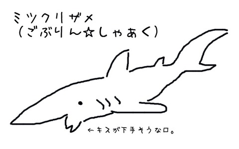 調べ隊 水族館に行ってまいります 調べ隊 水族館に行ってまいります