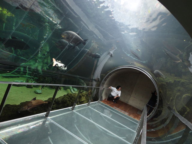 栃木県なかがわ水遊園