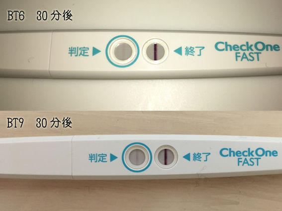 Bt8 12 妊娠判定 ぽこのベビ待ち列車に乗って