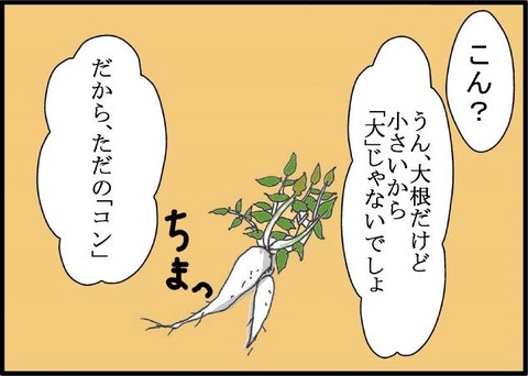 こん２
