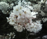 �������κ�