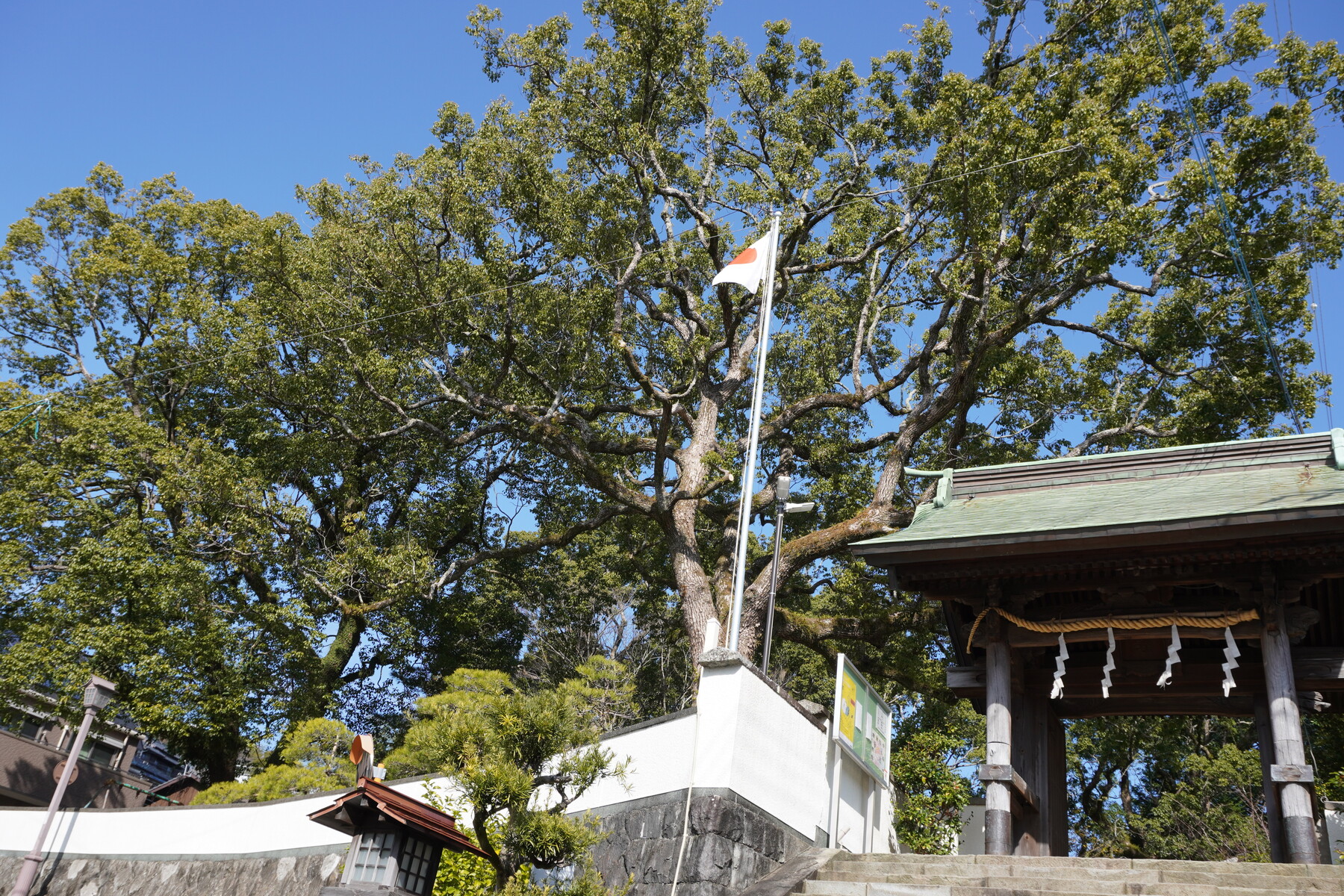 学問の神様 松森天満宮 にゃー丸総本店