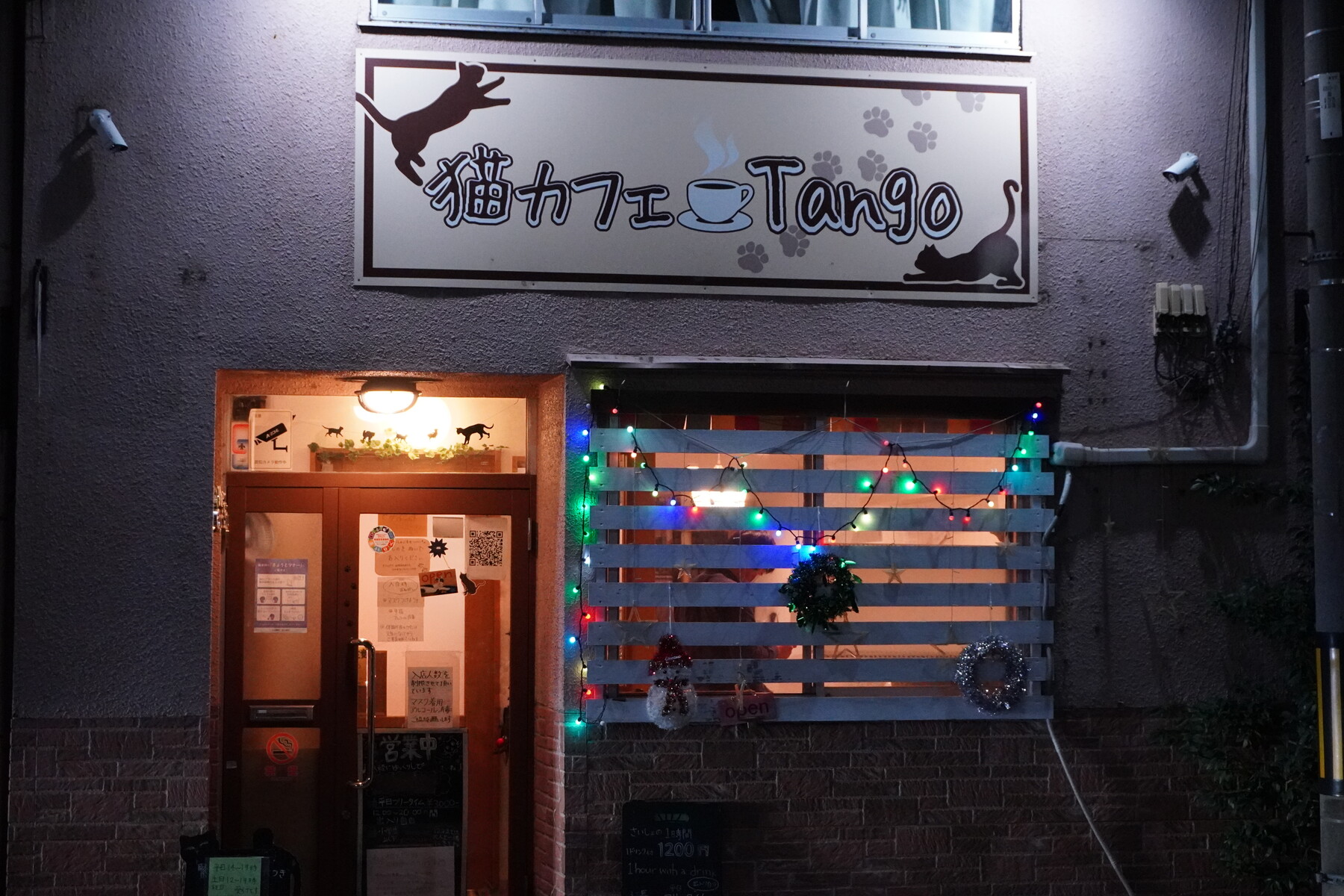 猫カフェ Tango さん 京都 にゃー丸総本店