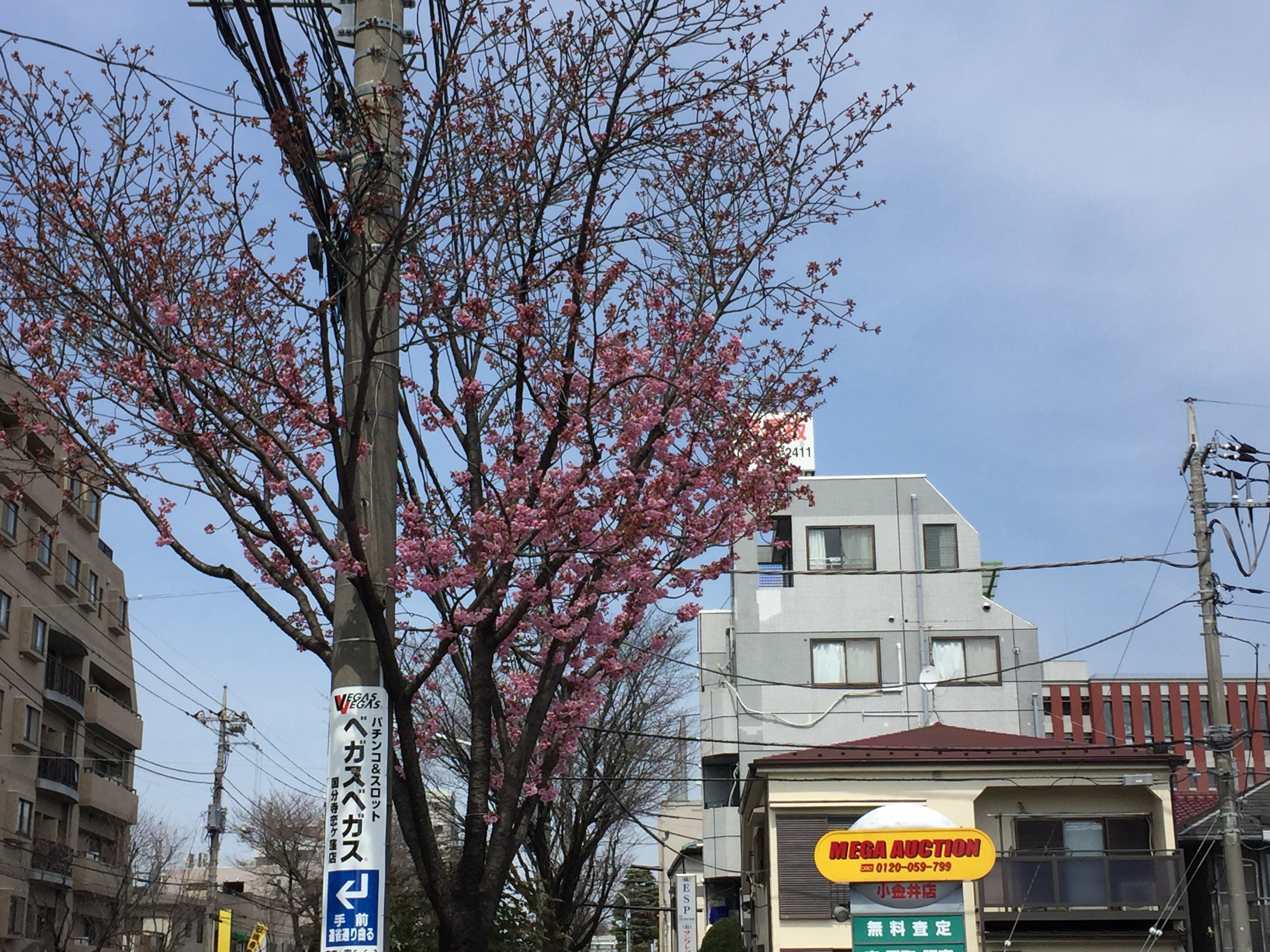 ラーメン二郎 新小金井街道店 平成29年3月25日 愛国くんの備忘録 ラーメン二郎 新小金井街道店 平成29年3月25日 愛国くんの備忘録