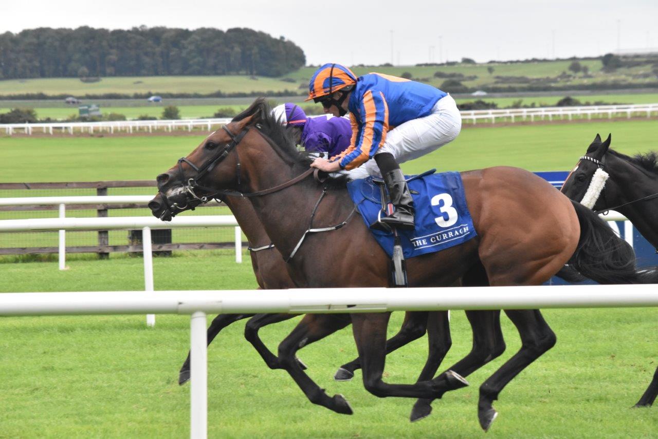 26 Aug 18 Curragh Irish Racing Photo Studio