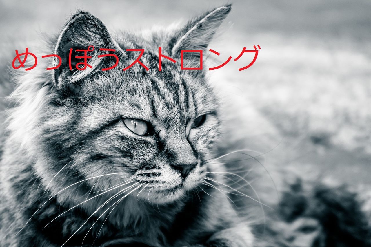 キテレツ大百科の各話タイトルで打線組んだwwww めっぽうストロング キテレツ大百科の各話タイトルで打線組んだwwww めっぽうストロング