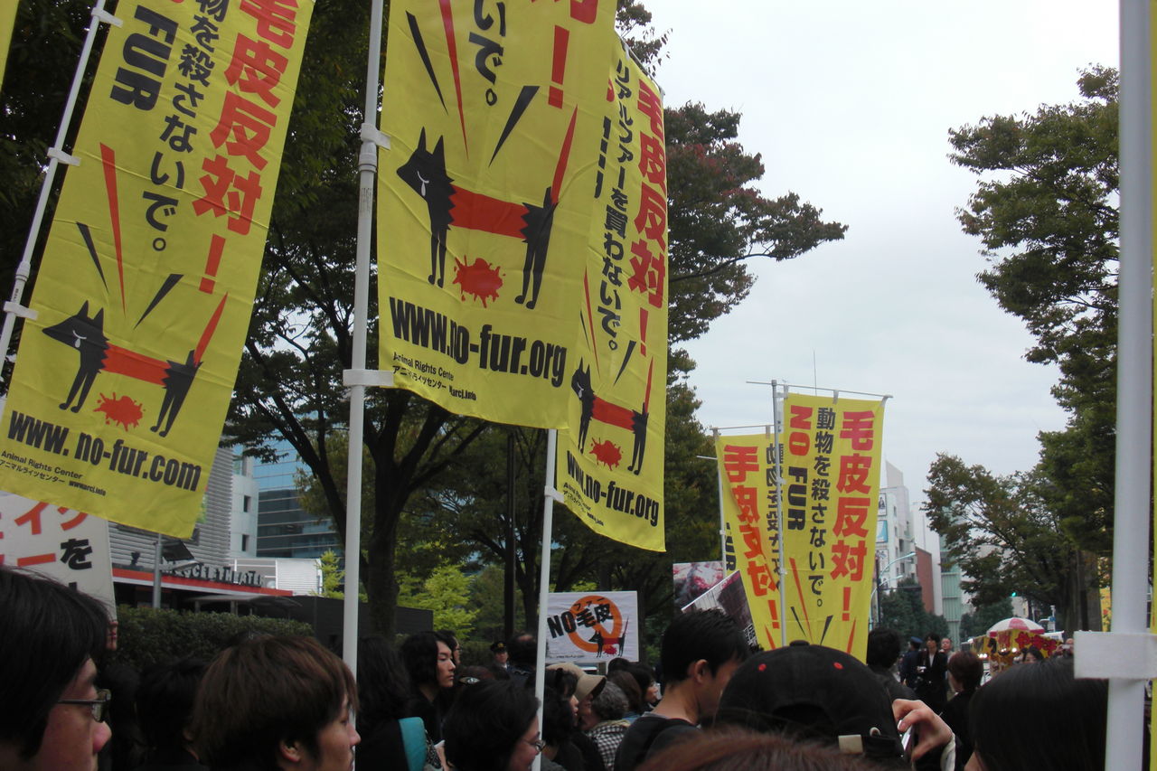 毛皮反対デモ行進に初参加 進化する 21世紀おばちゃん 毛皮反対デモ行進に初参加 進化する 21世紀おばちゃん