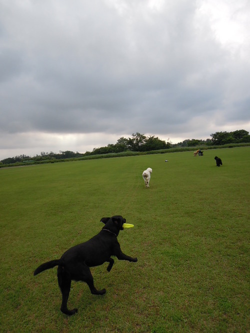 DSCN0056