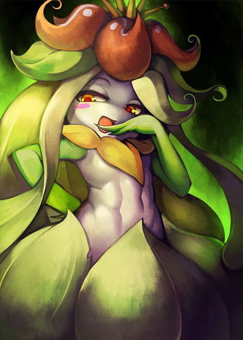 lilligant019