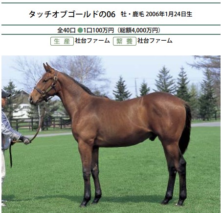 社台牝系】㉒もはや時代遅れとなった古き日本血統アンドロメダ系
