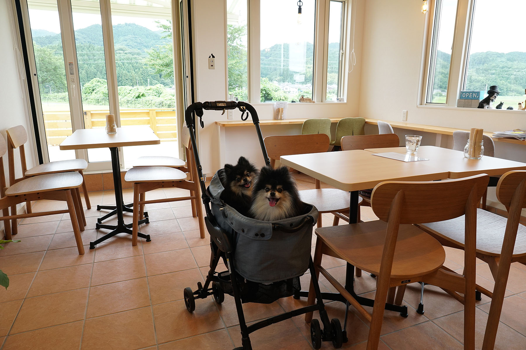 店内わんこOK】ドッグラン併設、新発田の91Rドッグパークカフェ : 黒ぽ