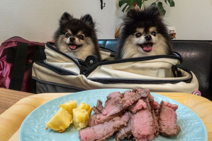 店内わんこOK】上越のわんこ歓迎なお店cafelさん : 黒ぽめ！あんこと