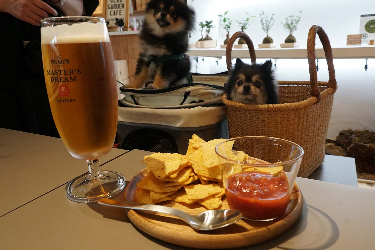 わんこ DOGWELL 仕上げ用シザーズ | ジョーウェル・シザーズ