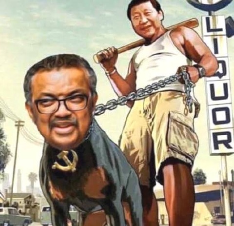 yRi/ܗցzWHOehXǒց@񑊂ƌܗ֊΍c  []->摜>3 