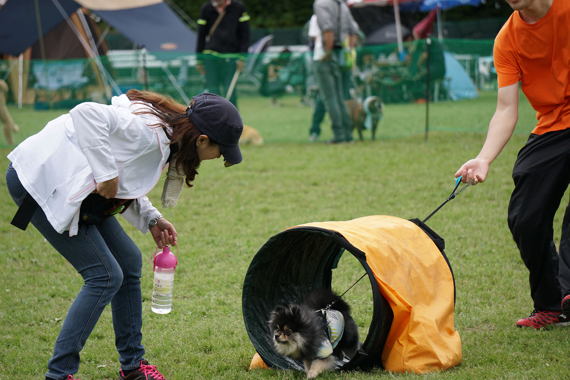 春の犬運動会18 その3 黒ぽめあんこ と 黒ぽめおはぎ 春の犬運動会18 その3 黒ぽめあんこ と 黒ぽめおはぎ
