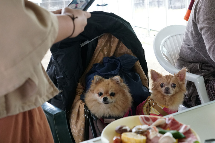 黒ぽめあんこ と 黒ぽめおはぎ お店一覧用