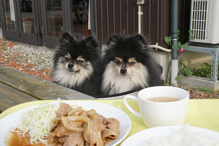 黒ぽめあんこ と 黒ぽめおはぎ お店一覧用