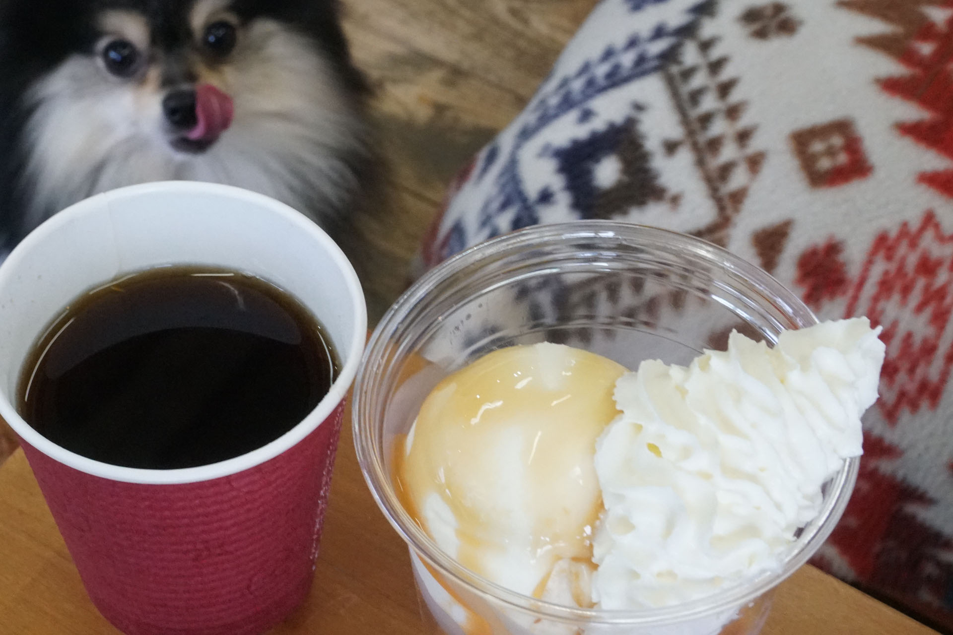 店内わんこOK】小針のSOULOVEさんでマラサダ食べてきた : 黒ぽめ！あん