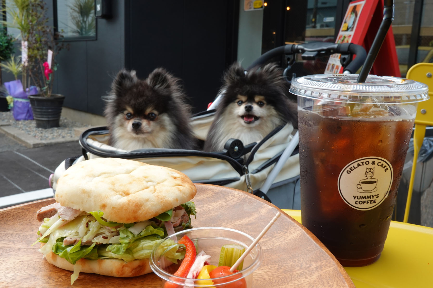 テラスわんこOK】ジェラートもカフェもYUMMY'S COFFEE : 黒ぽめ！あん