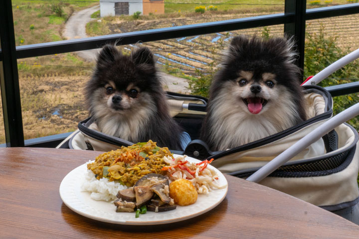 テラスわんこOK】十日町交流館みはらしcafe : 黒ぽめ！あんことおはぎ