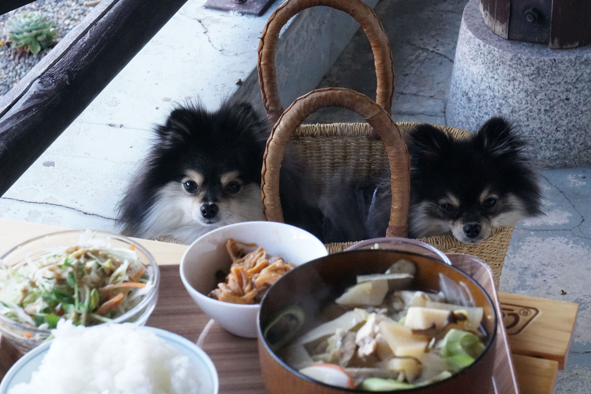 移転 わんこokなるか 阿賀町のまんまカフェが狐の嫁入り屋敷へ 黒ぽめあんこ と 黒ぽめおはぎ