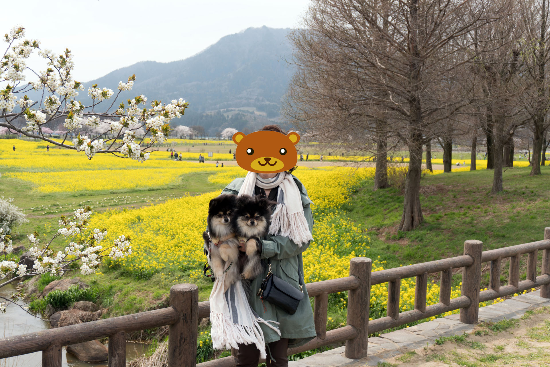 上堰潟公園散歩 黒ぽめあんこ と 黒ぽめおはぎ 上堰潟公園散歩 黒ぽめあんこ と 黒ぽめおはぎ