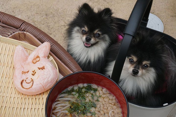 黒ぽめあんこ と 黒ぽめおはぎ お店一覧用