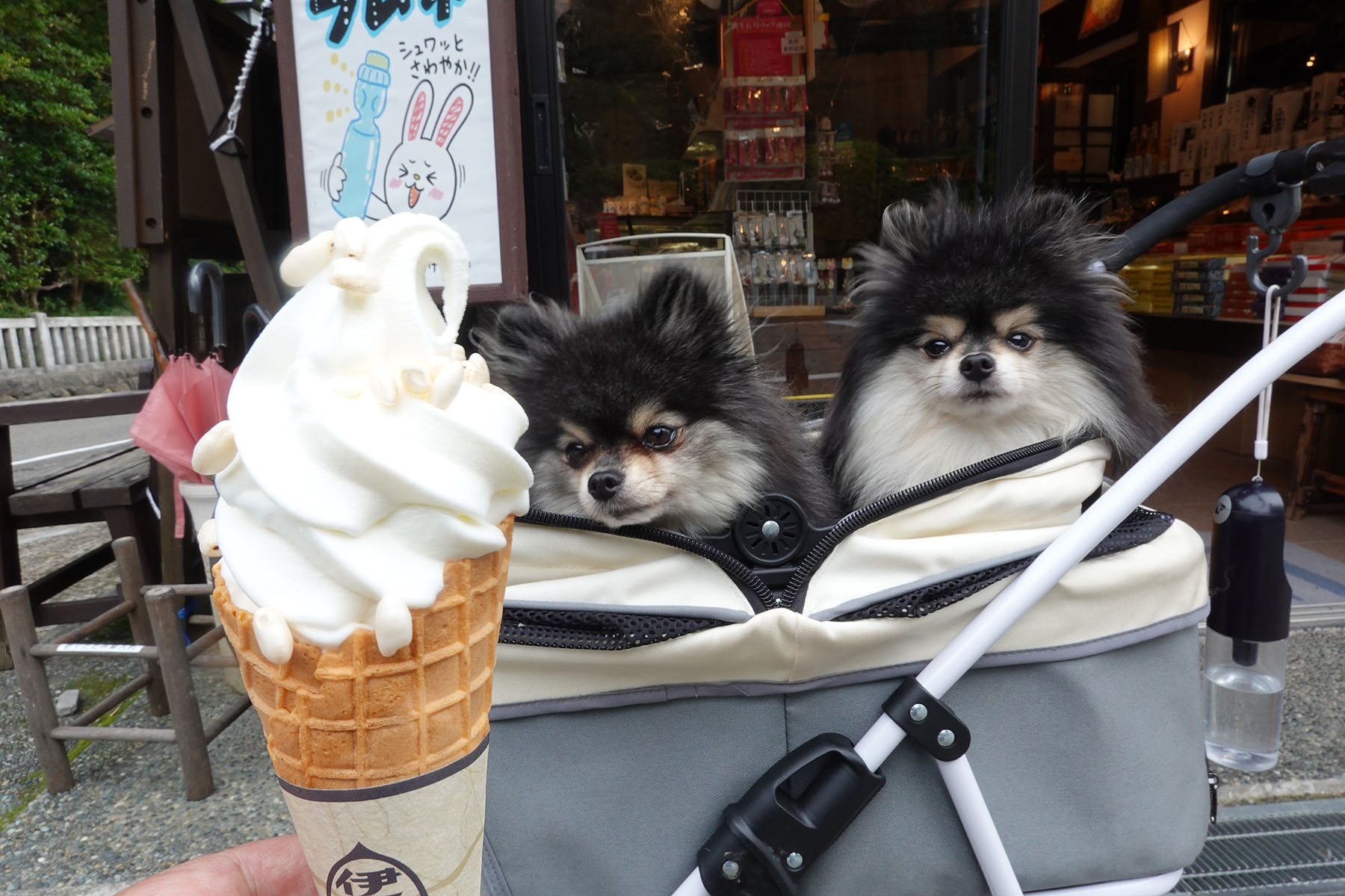 テラスわんこOK】弥彦神社正面、甘味処ひらしお : 黒ぽめ！あんこと