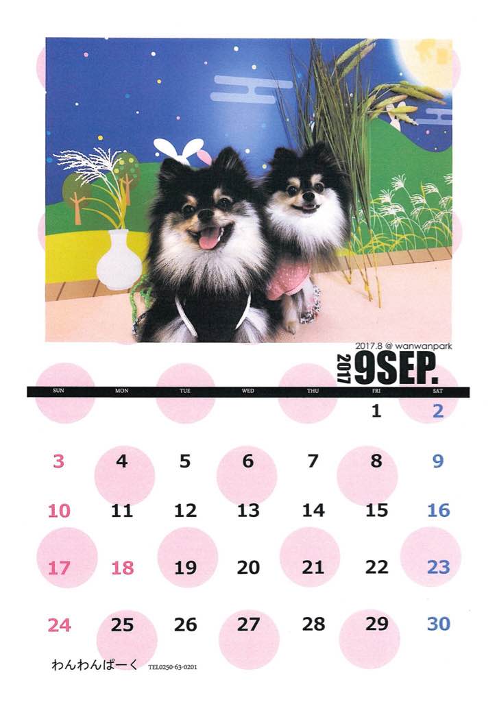 17年9月のカレンダー 黒ぽめあんこ と 黒ぽめおはぎ 17年9月のカレンダー 黒ぽめあんこ と 黒ぽめおはぎ