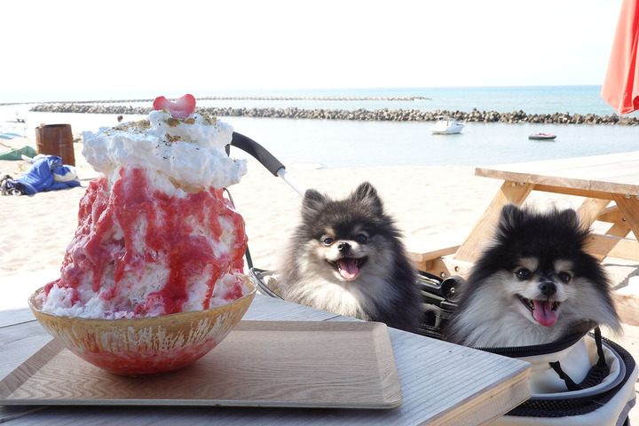 ☆*＊天＊*☆オルゴナイト☆お地蔵様、犬、ハムサ☆ 662a789f-s.jpg