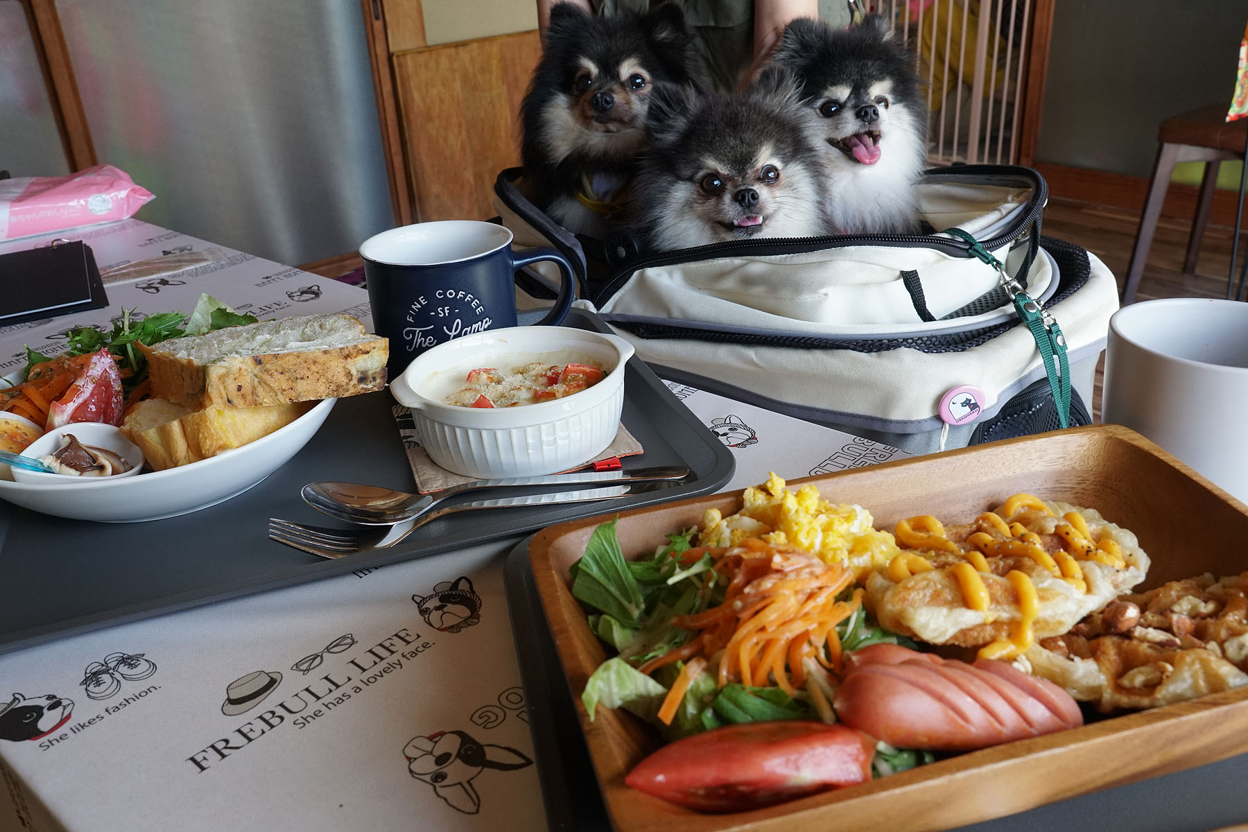 店内わんこOK】加茂市信濃川近くmoco moco Cafe : 黒ぽめ！あんこと